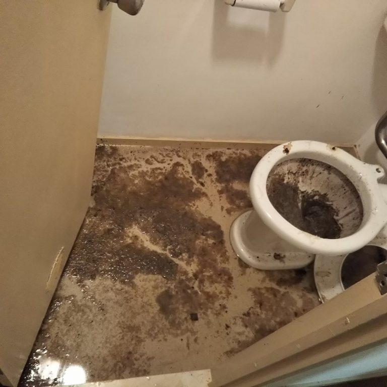 マンション 居室内 トイレ排水詰まり 逆流 緊急対応 アメニティ・プラスの活動ブログ