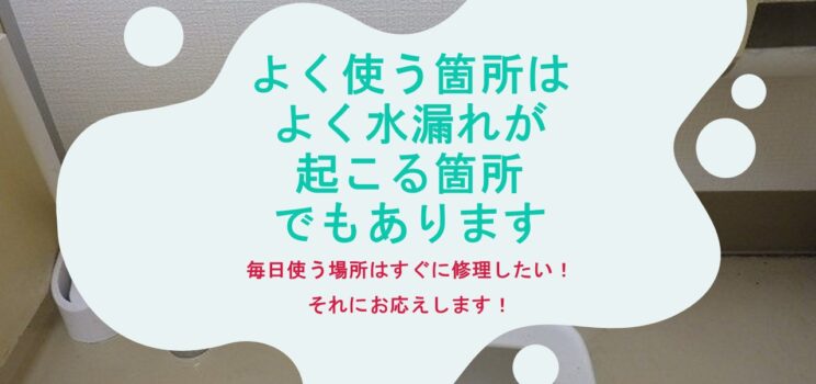 よく使う箇所はよく水漏れが起こる場所でもあります