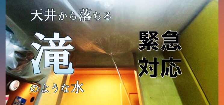 【緊急対応事例】新宿区西早稲田・共同住宅で発生した給湯管からの漏水事故