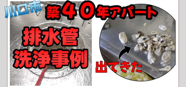 🧼【雑排水管洗浄事例】川口市 築40年アパートで20年以上未実施だった排水管を徹底洗浄！