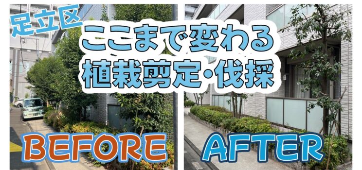 🌳【作業事例】足立区にて植栽剪定・伐採・除草作業を実施！