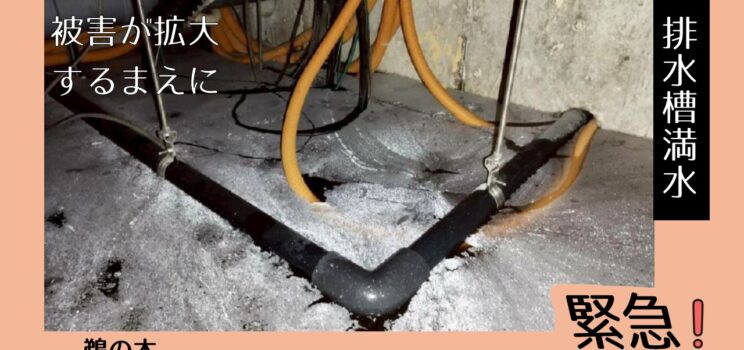 🚨【排水槽満水トラブル対応】大田区物件｜緊急対応からポンプ交換までの一貫対応事例