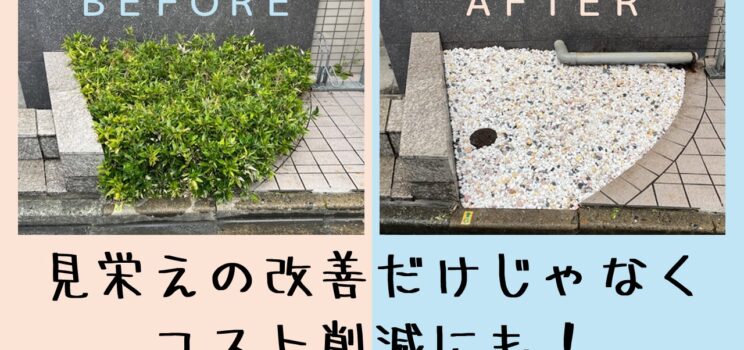 🌿維持コスト削減と美観向上を両立｜植栽除草＋防草対策工事（三軒茶屋）