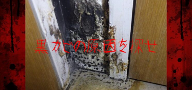 🦠【千代田区】黒カビの原因はどこに？見えない漏水を特定した調査事例