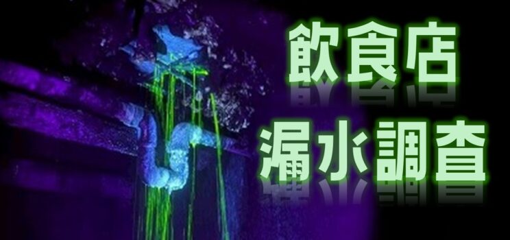 🏢 【新宿区】飲食店における漏水調査事例