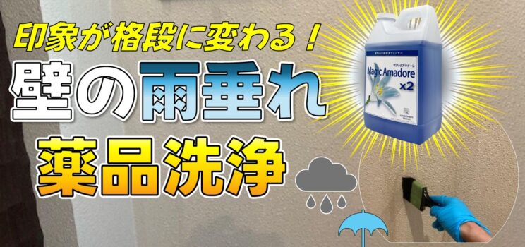 🧼【内壁特別清掃】大田区一般住居｜雨垂れによる黒ずみ汚れを薬品洗浄で改善