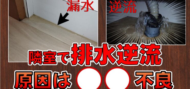✅【目黒区】複数住戸・共用部へ被害拡大｜漏水調査から排水管全面更新まで行った改修事例