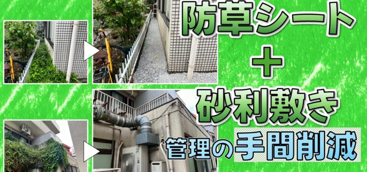 🌳【自由が丘】植栽管理・防草対策工事｜越境リスクと害虫発生を未然に防ぐ環境整備