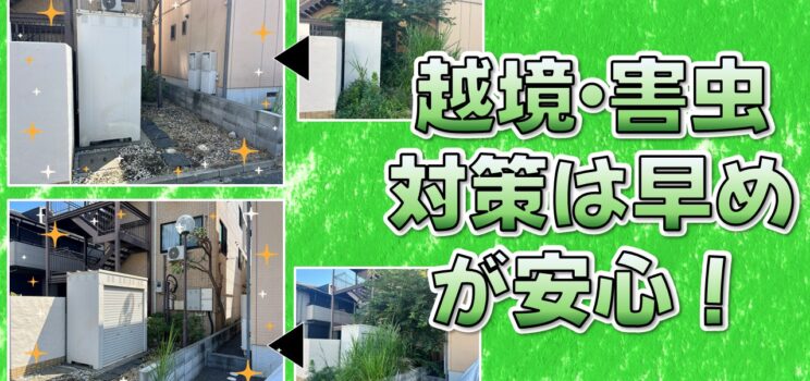 🌿【植栽剪定・除草作業】蕨市共同住宅｜越境トラブルを防ぐための計画的な植栽管理