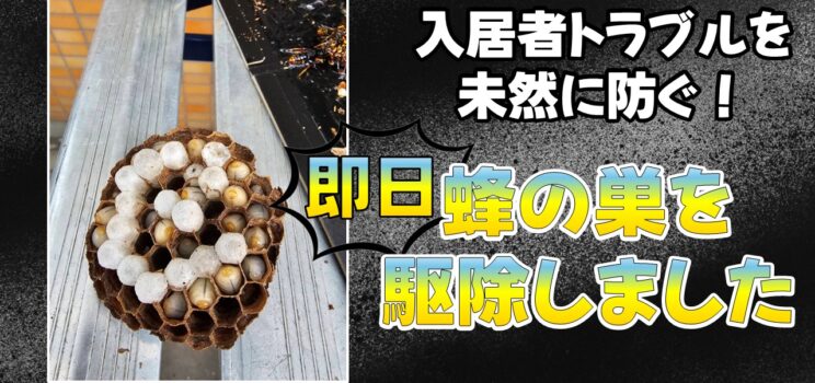 🐝【蜂の巣駆除】埼玉県越谷市｜入居者トラブルを未然に防ぐ迅速な害虫対応