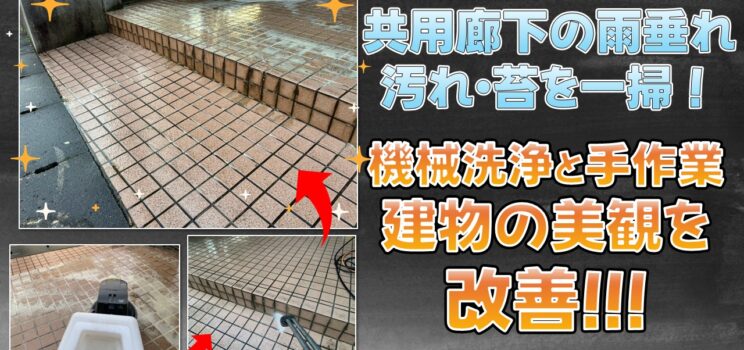 🧹【共用部の特別清掃】川崎市のアパート｜雨垂れ汚れや苔を機械洗浄と手作業で改善！